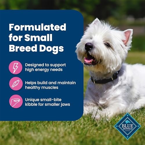 Blue Buffalo Life Protection Formula Adult Small Breed Dry Dog Food, Supports High Energy Needs, Made with Natural Ingredients, Chicken & Brown Rice R thumbnail