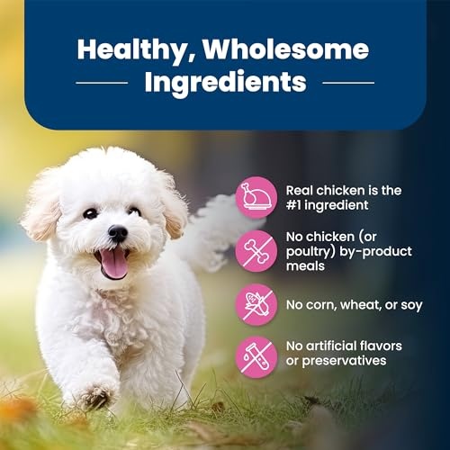 Blue Buffalo Life Protection Formula Adult Small Breed Dry Dog Food, Supports High Energy Needs, Made with Natural Ingredients, Chicken & Brown Rice R thumbnail