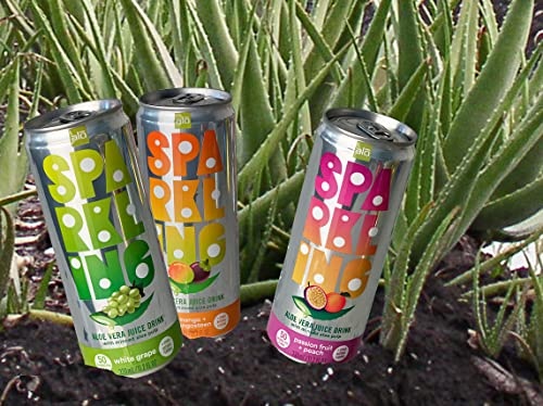 ALO Sparkling White Grape Carbonated Aloe Vera Juice Drink | 11.2 Fl Oz, Pack of 12 | Plant-Based Beverage, Vegan thumbnail