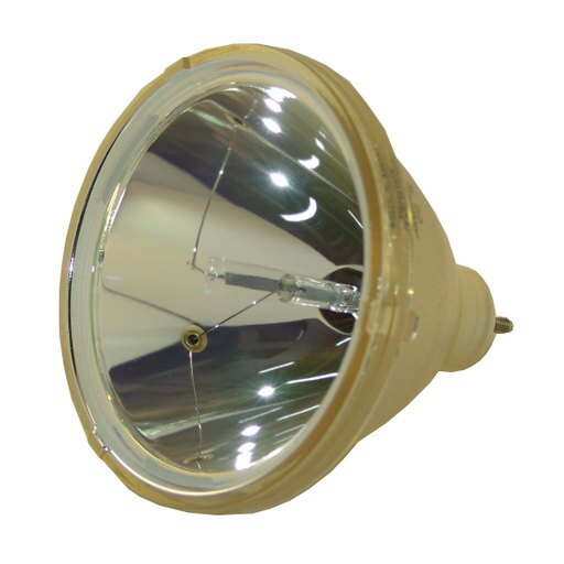 Original Philips Projector Lamp Replacement with Housing for Canon LV-7525