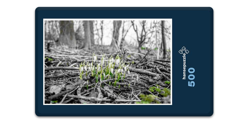 Hansepuzzle 16249 Natur - Frühlings-Bote, 500 Teile