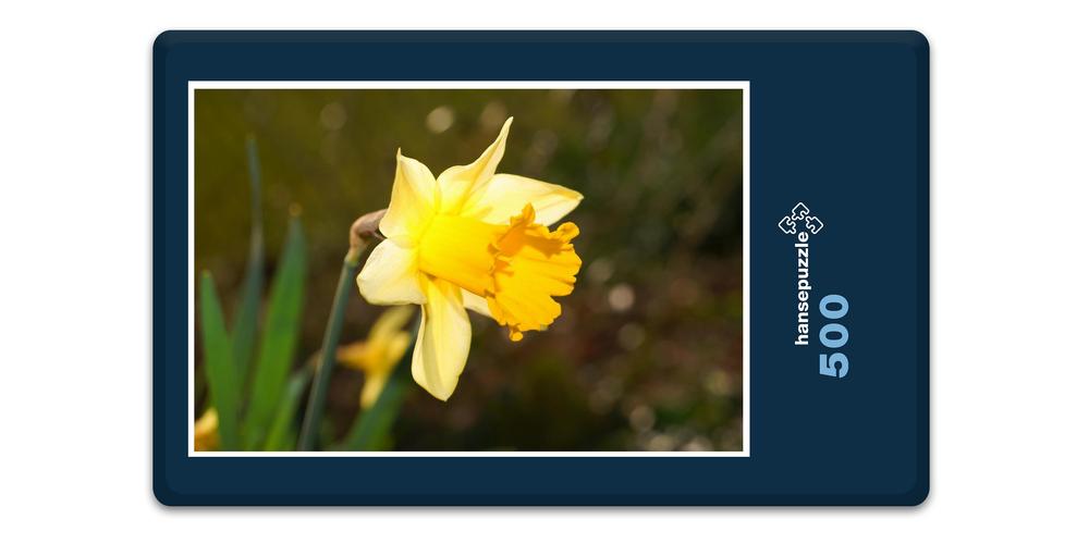 Hansepuzzle 16317 Natur - Osterglocke, 500 Teile