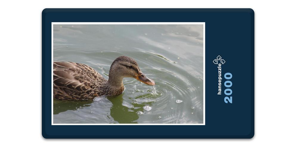 Hansepuzzle 18775 Tierwelt - Schwanenteich, 2000 Teile