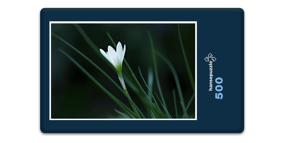 Hansepuzzle 19332 Natur - Lilie, 500 Teile