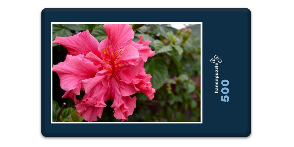 Hansepuzzle 19862 Natur - Hibiskus, 500 Teile