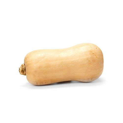 Organic Butternut Squash, 1 Each thumbnail