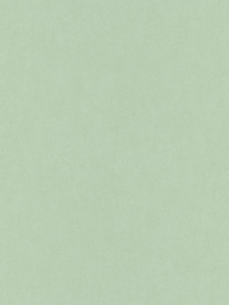 Erismann Tapete Kollektion My Garden 6331-07