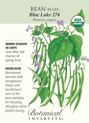 Blue Lake 274 Bush Bean Seeds - 15 Grams - Organic