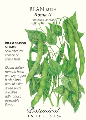 Roma II Bush Bean Seeds - 25 Grams