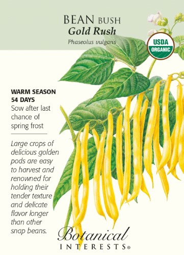 Gold Rush Bush Bean Seeds - 15 Grams - Organic
