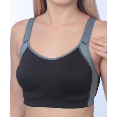 Champion Women's Bras Ebony - Ebony Ash Gray MAX 9585 Support Sports Bra