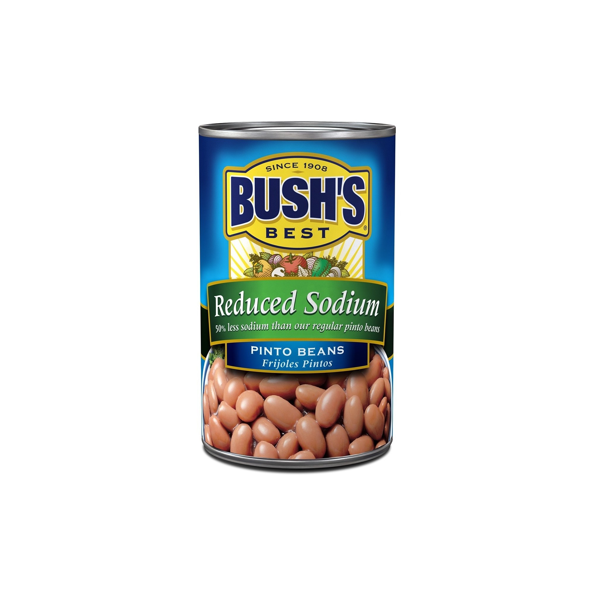 Bush's Reduced Sodium Pinto Beans - 16oz thumbnail