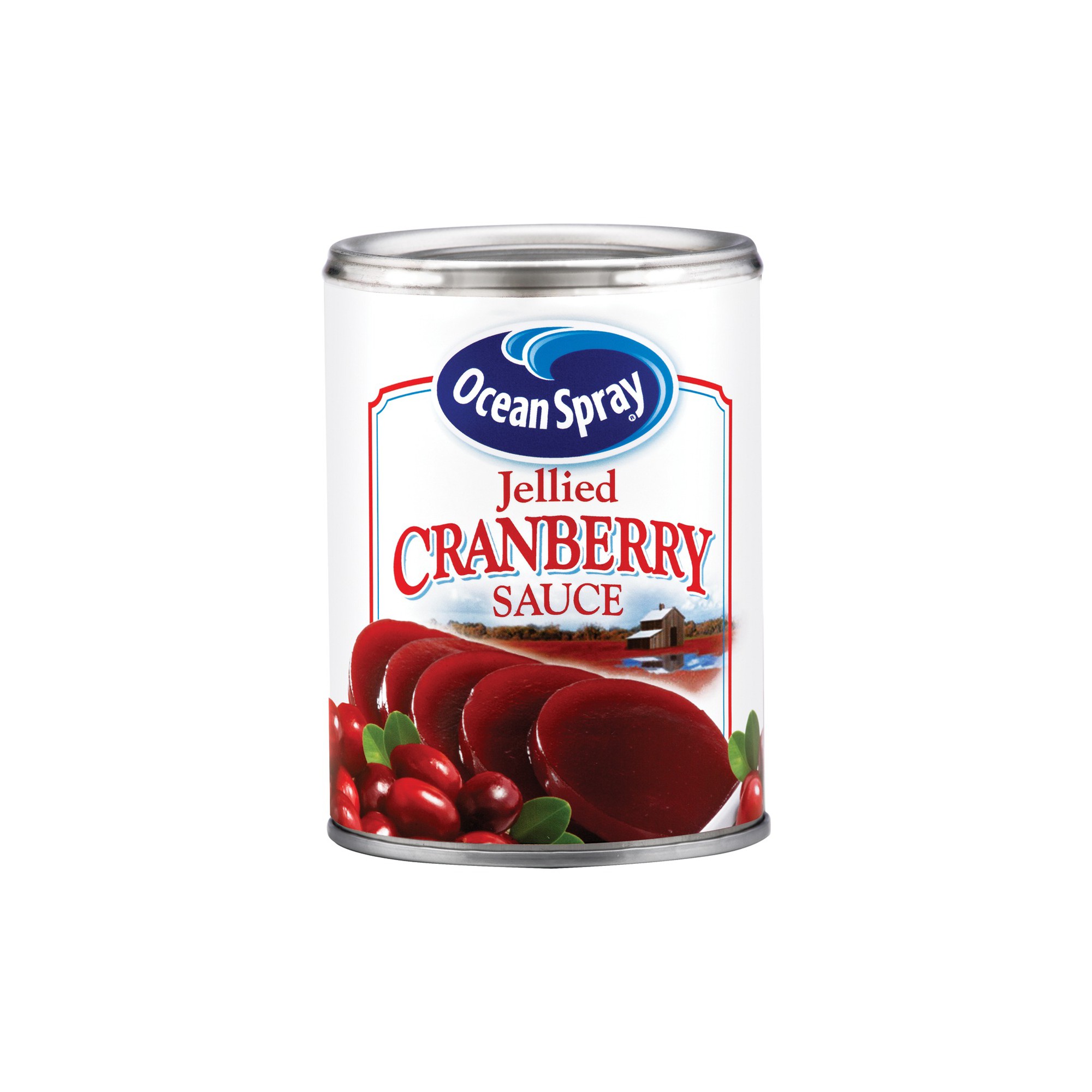 Ocean Spray Jellied Cranberry Sauce - 14oz thumbnail