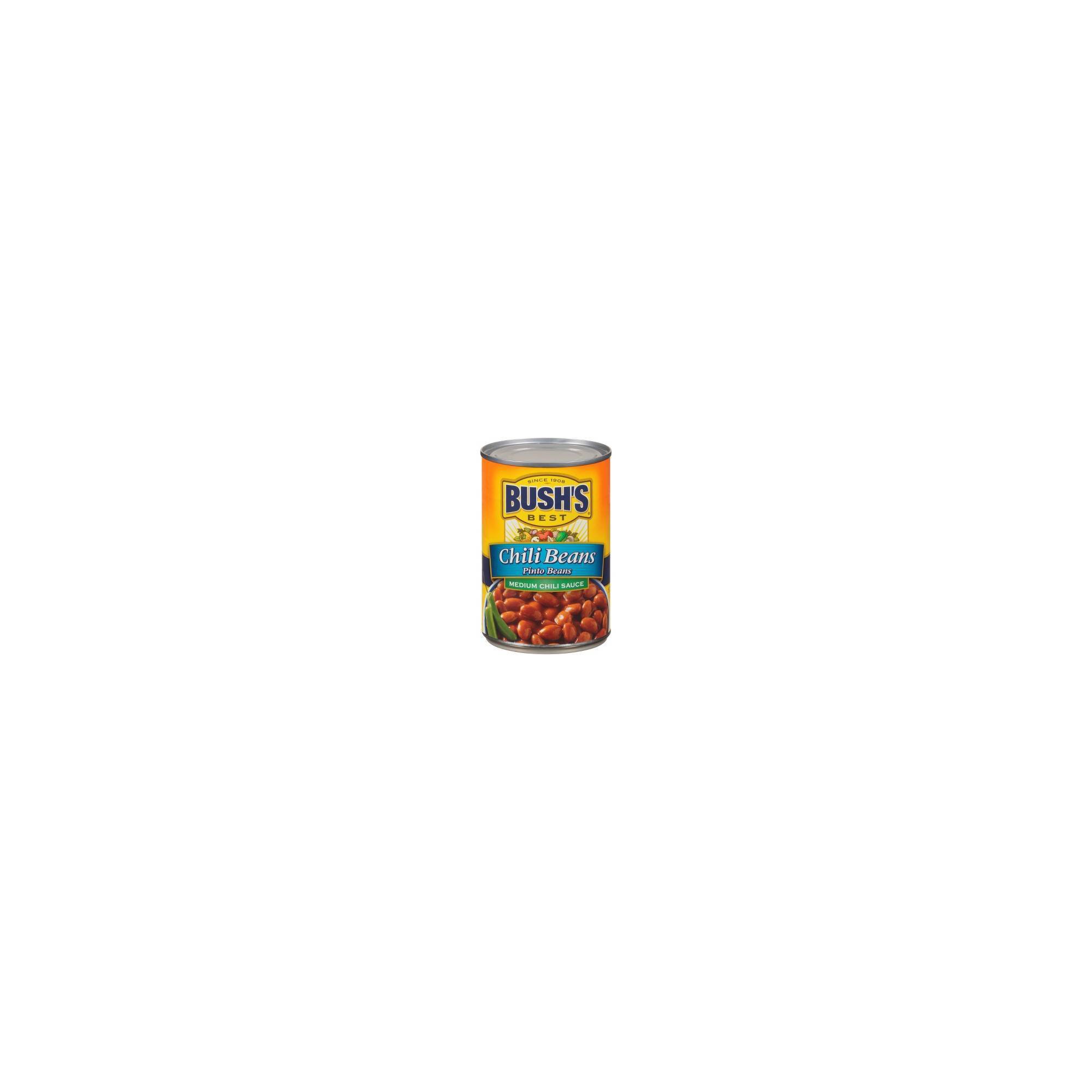 Bush's Medium Pinto Chili Beans - 16oz thumbnail