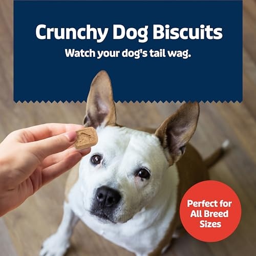 Blue Buffalo Health Bars Mini Crunchy Dog Biscuits  Oven-Baked with Natural Ingredients  Bacon  Egg & Cheese  16-oz Bag thumbnail