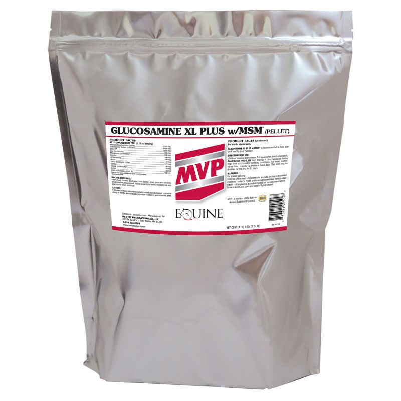 Glucosamine XL Plus W/MSM