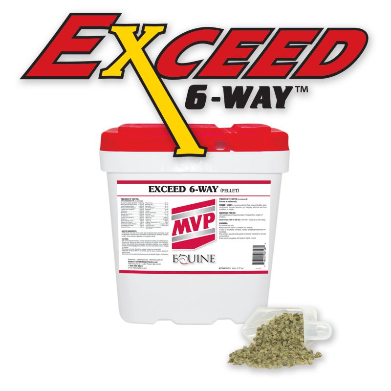 Exceed 6 - Way