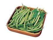 Burpee Heavyweight II Bush Bean Seeds 16 Ounces of Seed