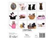 Pour L'amour Des Chatons Mini Wall Calendar by Wyman Publishing