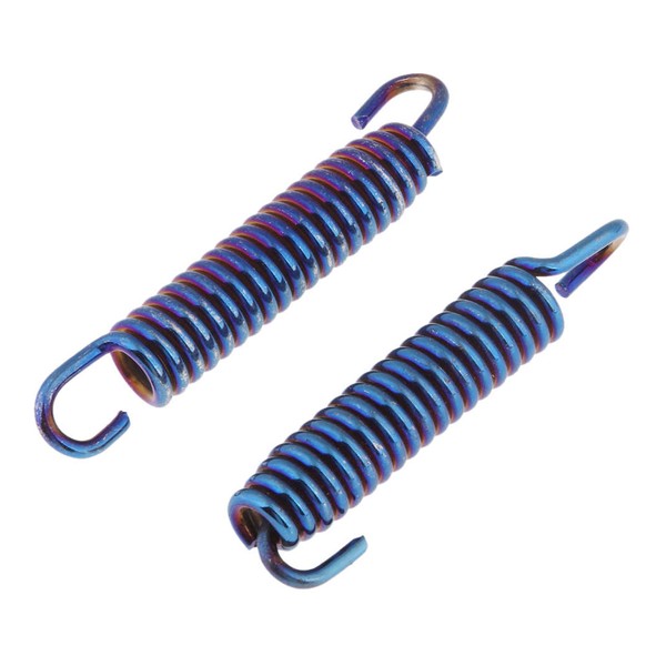 HJS 83 21 6755 Spring, Silencer