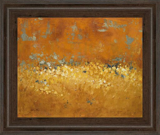 Classy Art Wholesalers Flower Fields I by Lanie Loreth Framed Painting Print