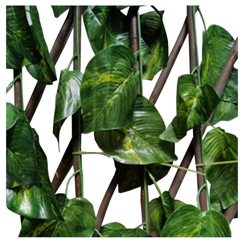Treillis En Osier Naturel 1x2 M - Vert