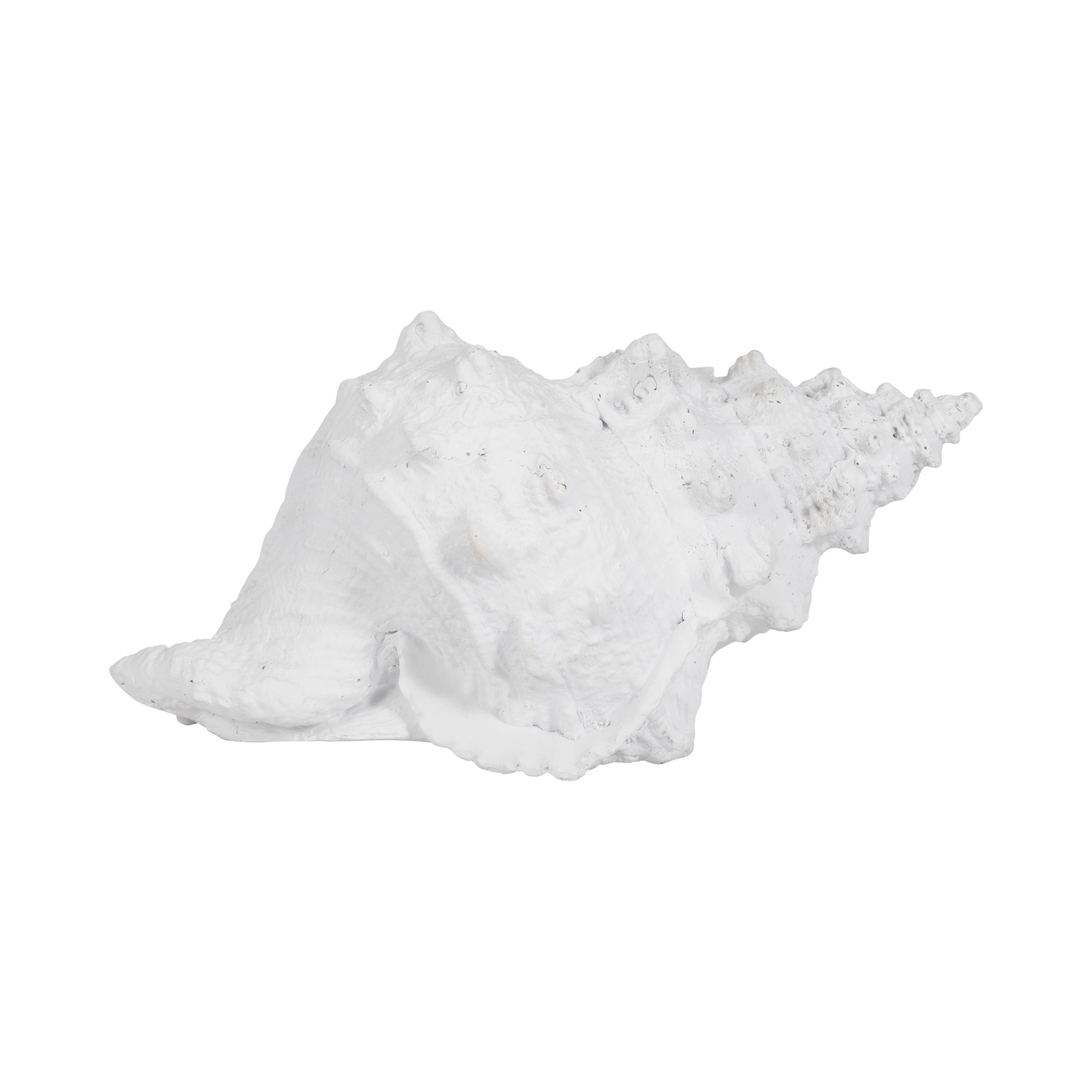 Conch Shell Sculpture for Home Decor - Coastal Resin Figurine for Bathroom  Office Shelf  and Coffee Table Display - Nautical Conch Accent for Living 