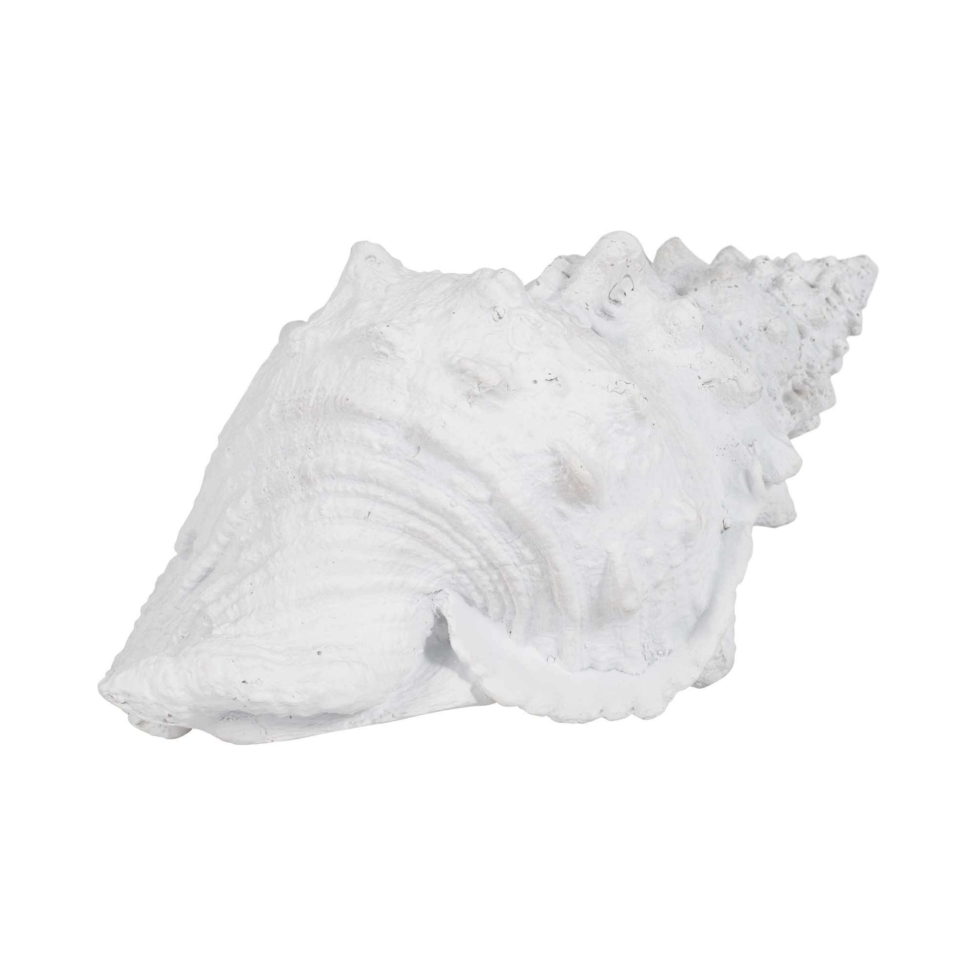 Conch Shell Sculpture for Home Decor - Coastal Resin Figurine for Bathroom  Office Shelf  and Coffee Table Display - Nautical Conch Accent for Living  thumbnail