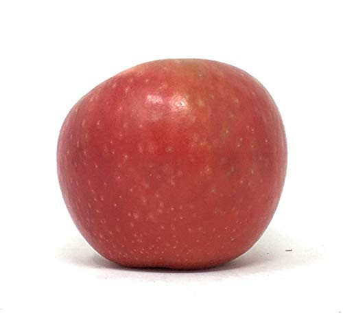 Sugarbee Apple