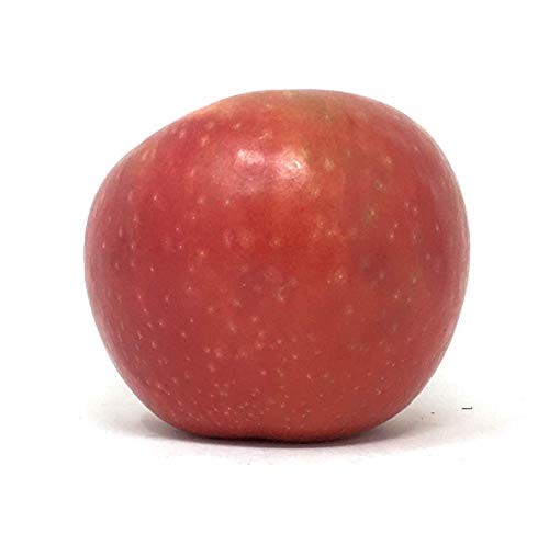 Sugarbee Apple thumbnail