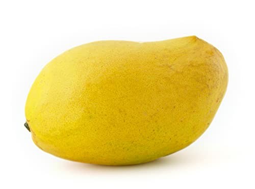 Yellow Honey Mango, 1 Each