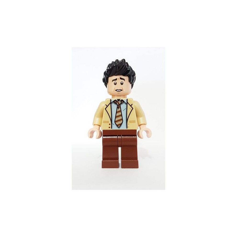 LEGO Ideas Friends Ross Geller Minifigure from 21319