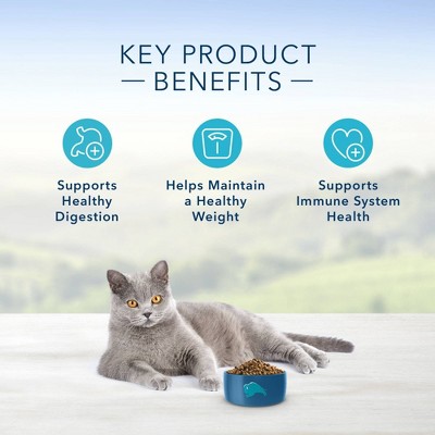 Blue Buffalo Grain Free Adult Chicken and Brown Rice Dry Cat Food - 9lb thumbnail