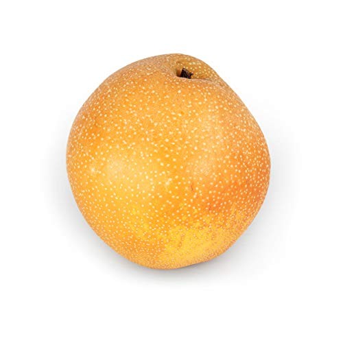 Asian Pear