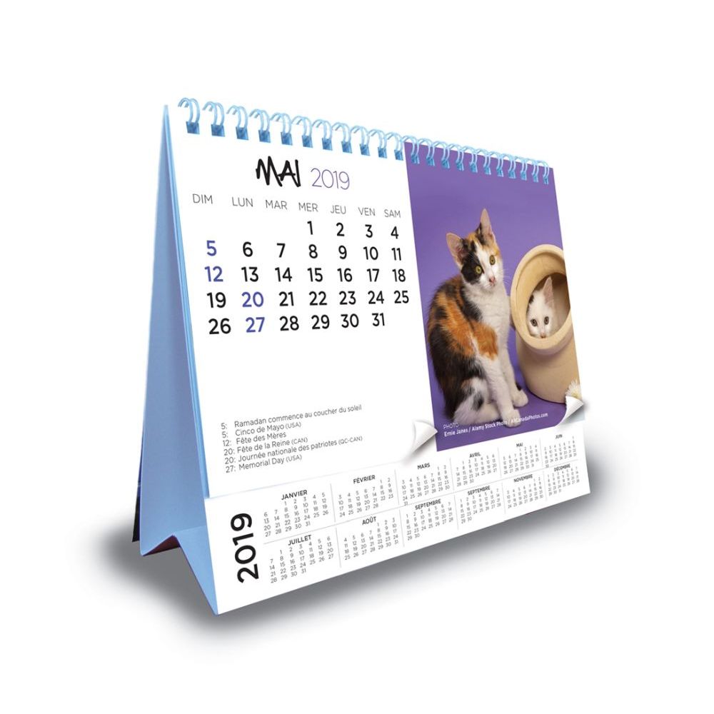 Chatons 2019 Desk Calendar thumbnail