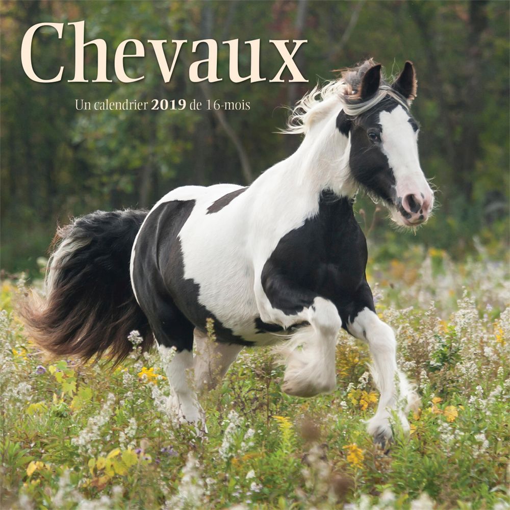 Chevaux 2019 Mini Wall Calendar