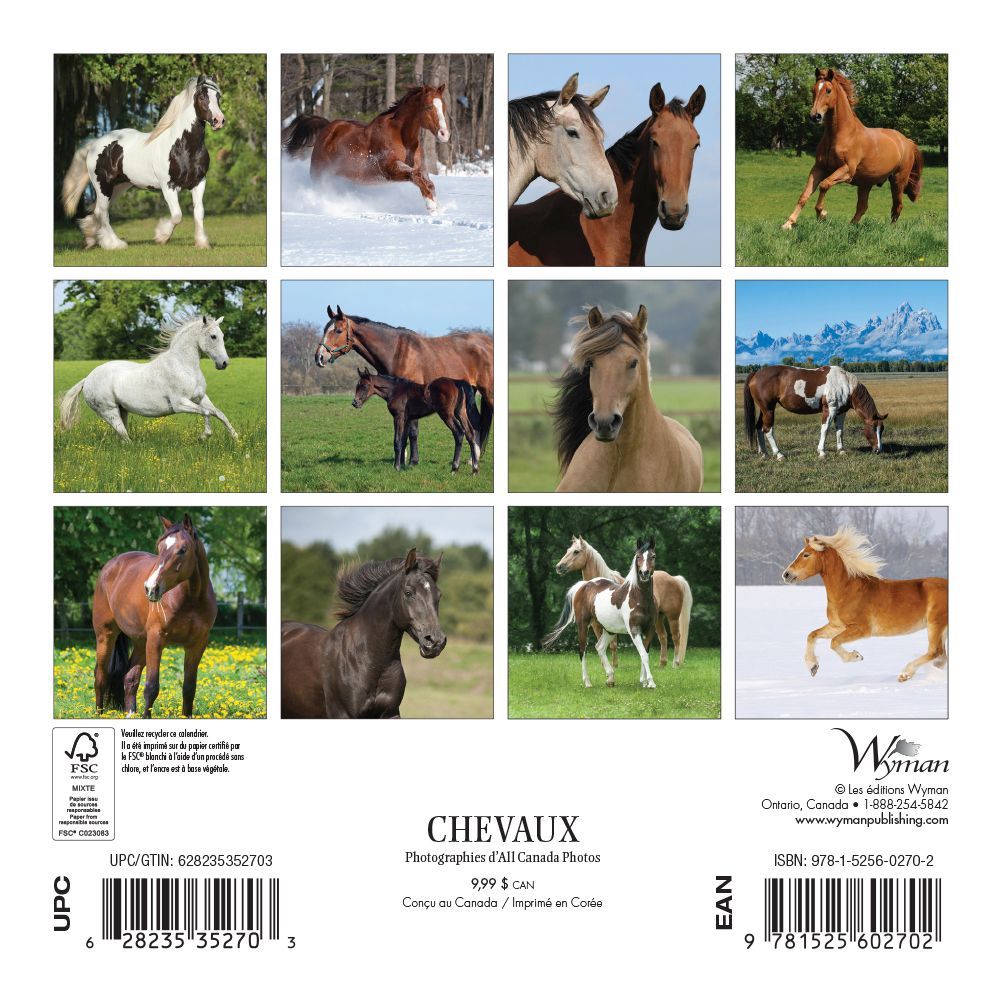 Chevaux 2019 Mini Wall Calendar thumbnail