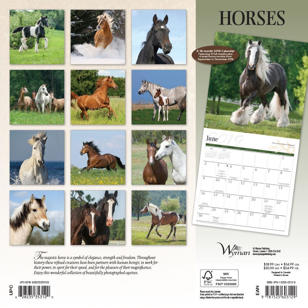 Horses 2019 Wall Calendar thumbnail