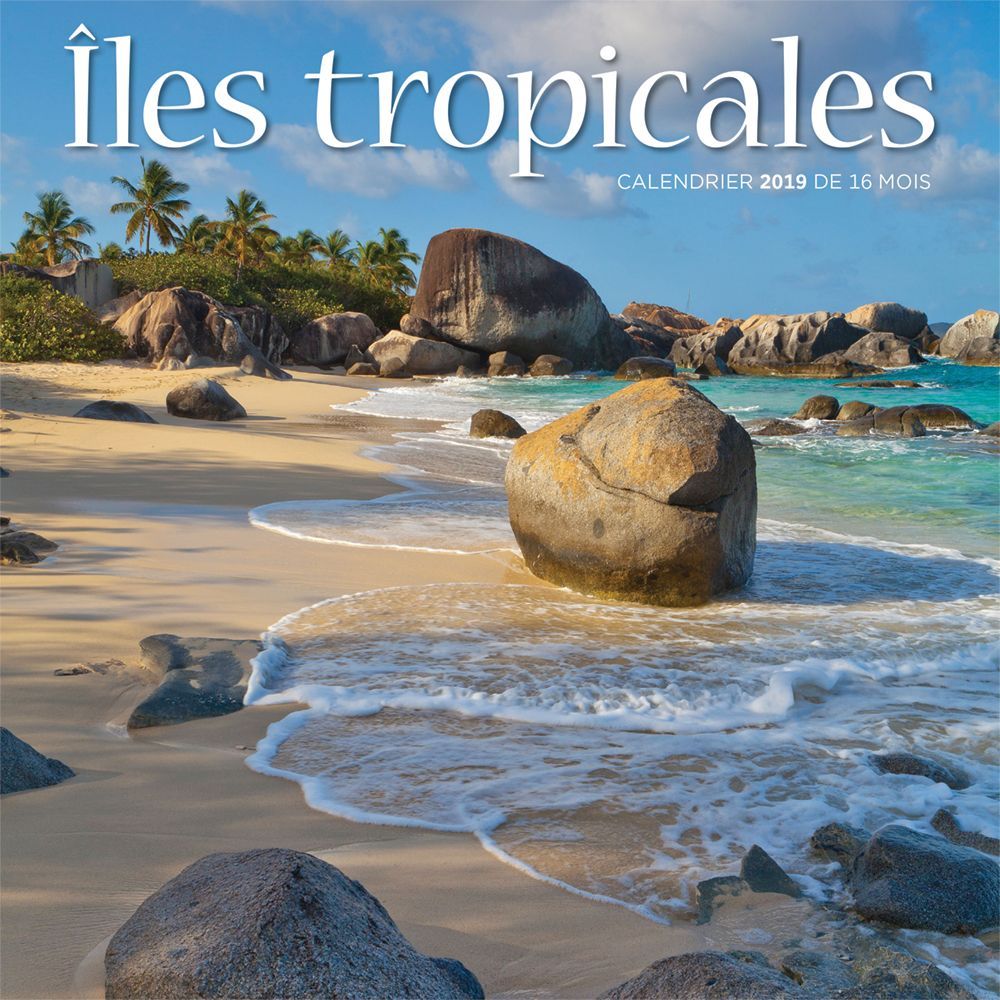 Lles 2019 Mini Wall Calendar