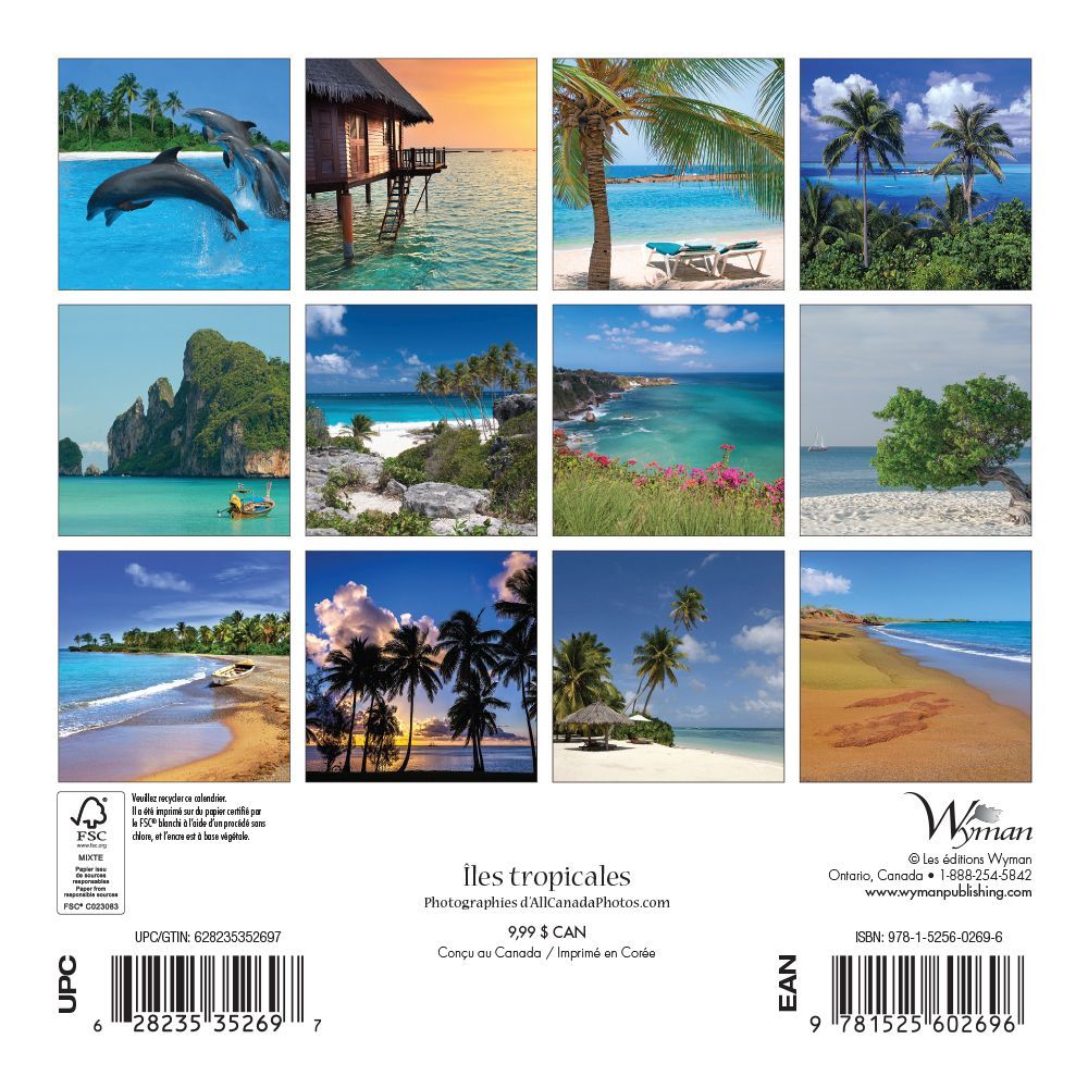 Lles 2019 Mini Wall Calendar thumbnail