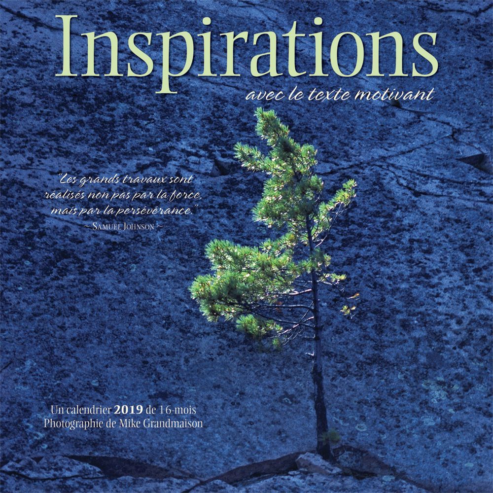 Inspiration 2019 Mini Wall Calendar