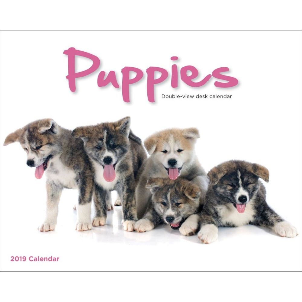 Puppies 2019 Desk Calendar