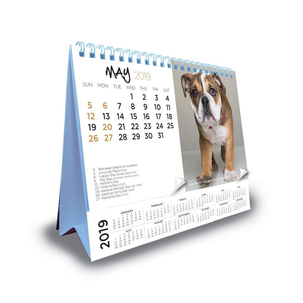 Puppies 2019 Desk Calendar thumbnail