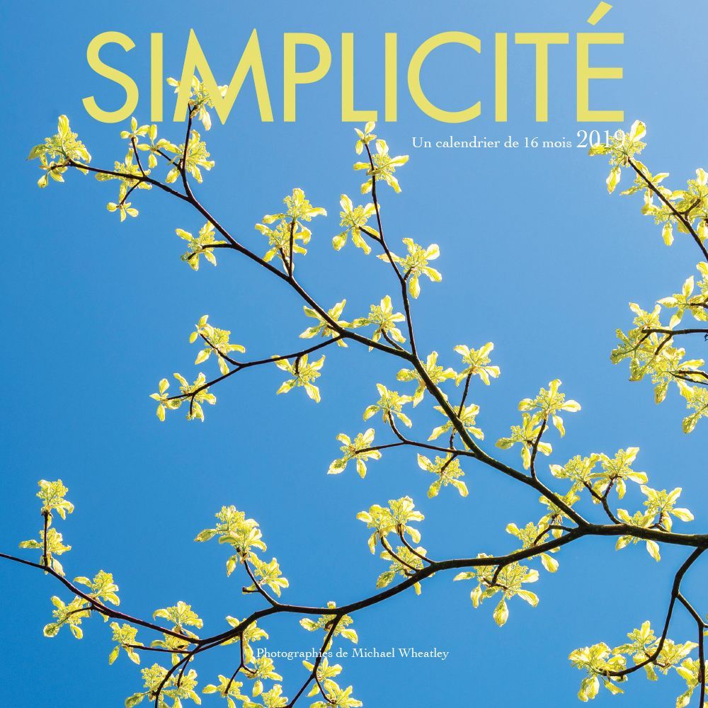 Simplicite 2019 Mini Wall Calendar
