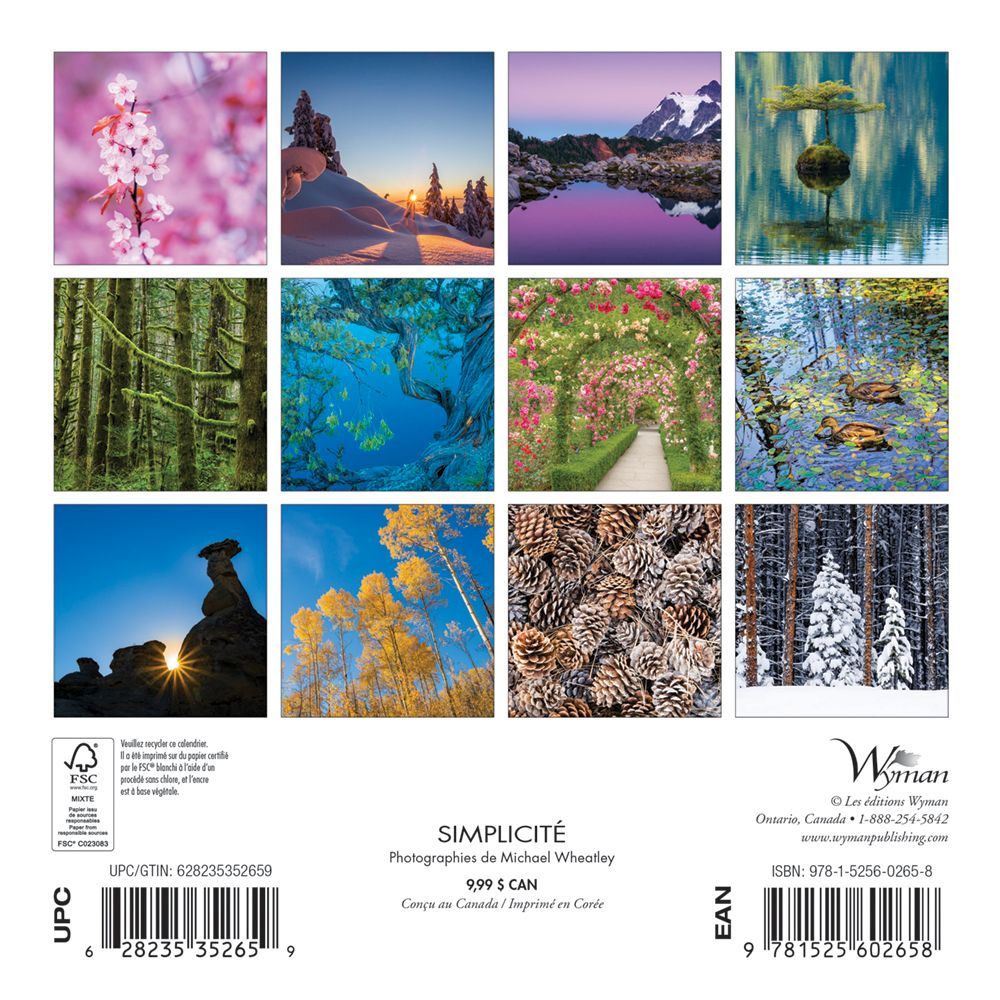 Simplicite 2019 Mini Wall Calendar thumbnail