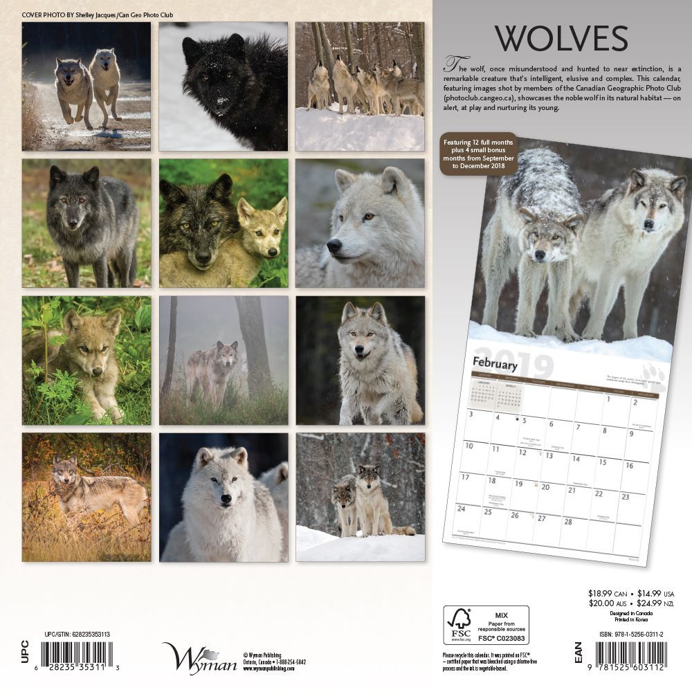 Wolves 2019 Wall Calendar thumbnail