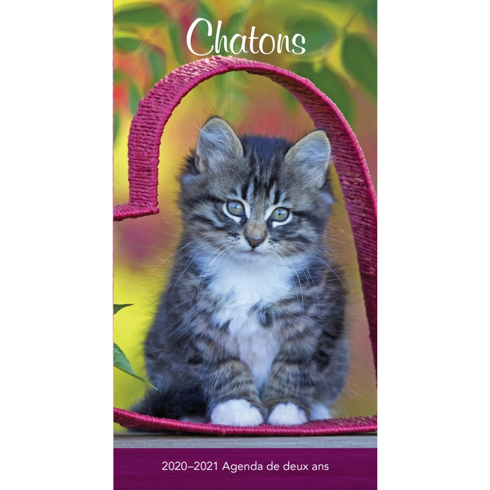 Chatons 2yr Pocket Planner (French)