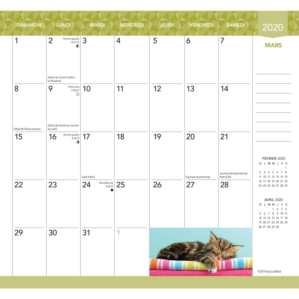 Chatons 2yr Pocket Planner (French) thumbnail