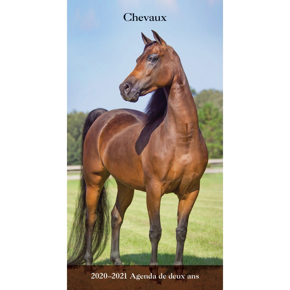 Chevaux 2yr Pocket Planner (French)