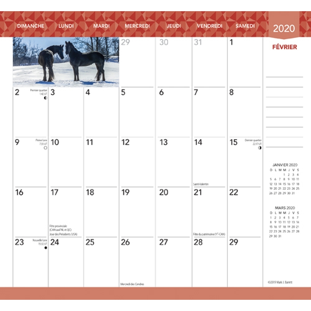 Chevaux 2yr Pocket Planner (French) thumbnail